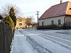 Třibřichy